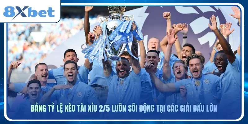 Bảng tỷ lệ kèo tài xỉu 2/5 luôn sôi động tại các giải đấu lớn