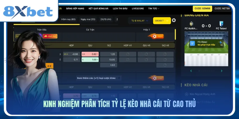 Kinh nghiệm phân tích tỷ lệ kèo nhà cái từ cao thủ