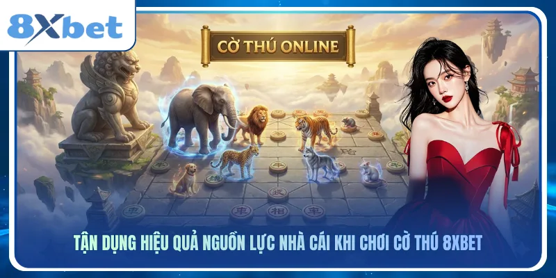 Tận dụng hiệu quả nguồn lực nhà cái khi chơi cờ thú 8xbet